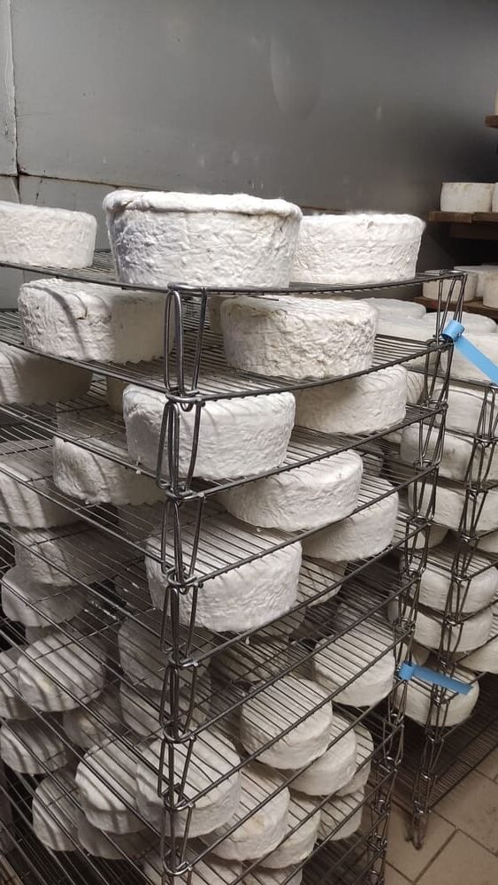 Fabrication fromage Aveyron