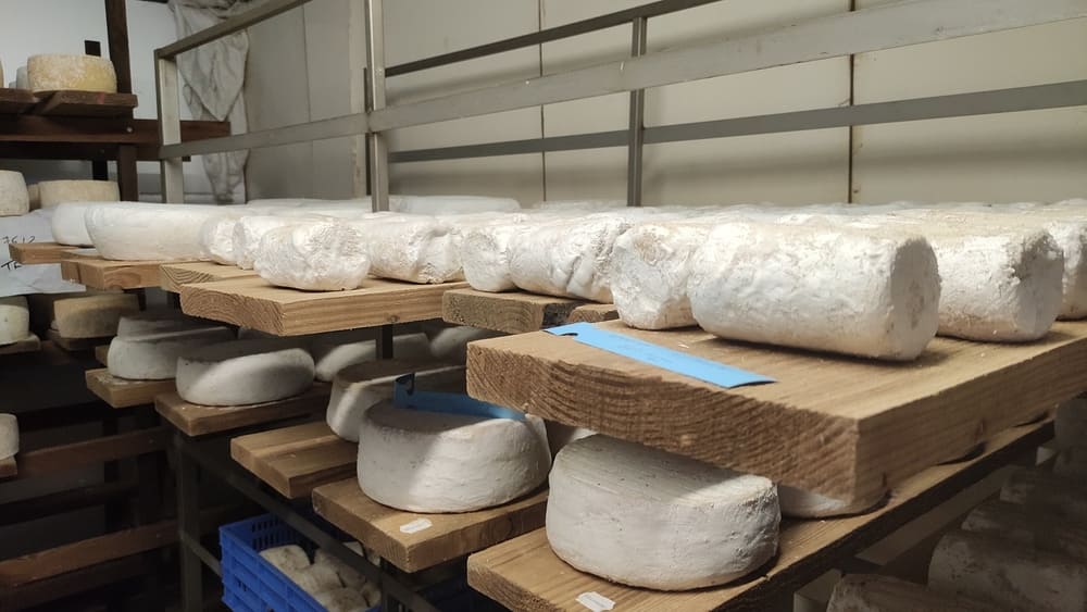séchage fromage cave