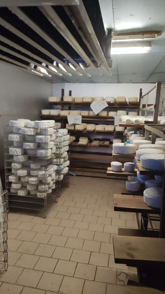 A vendre fabrication fromage