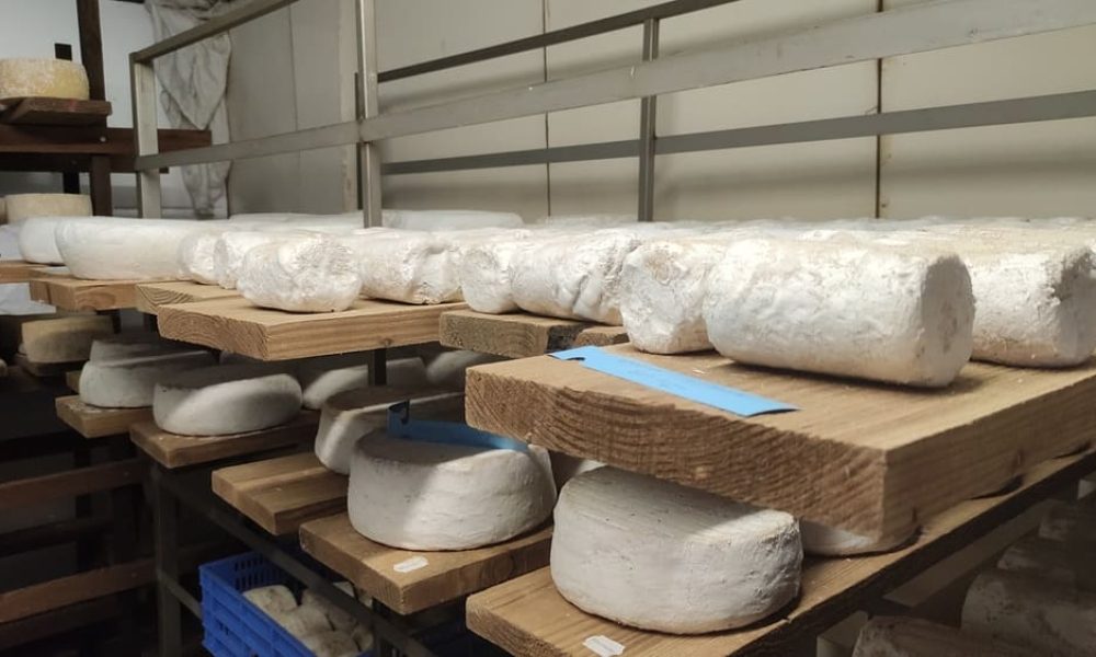 séchage fromage cave
